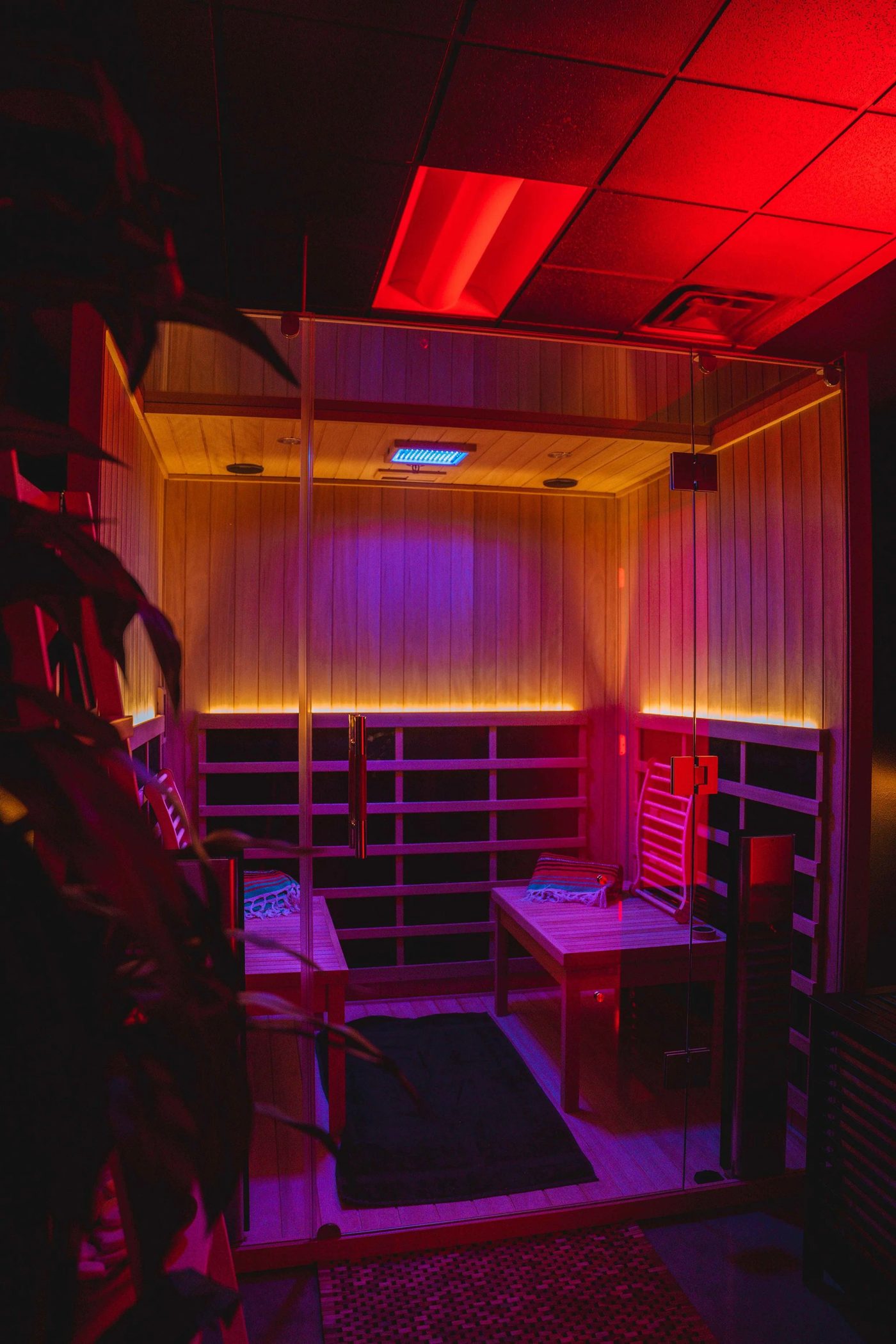Glass-door infrared sauna room with wooden interior, cushioned seats and purple chromotherapy lighting at Revive Wellness Place